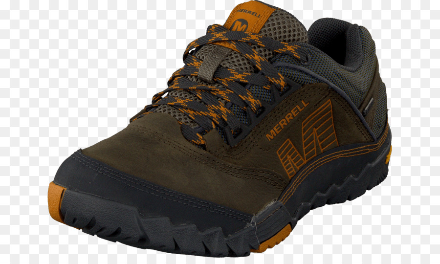 Goretex，Zapato PNG