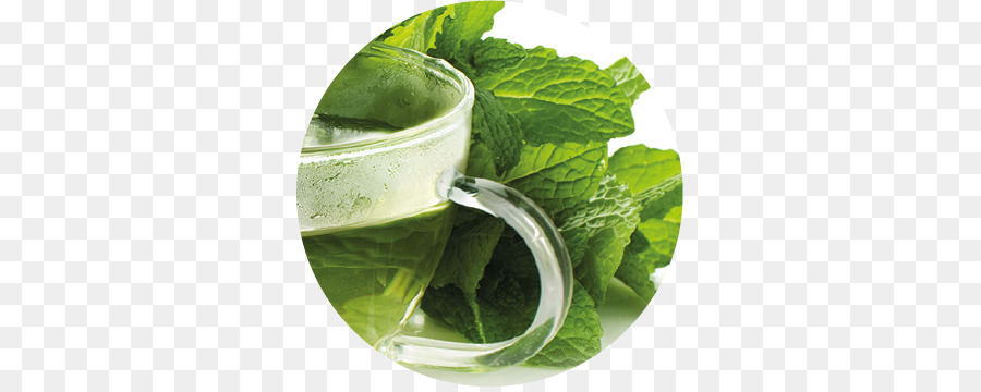 Mojito，De Verduras De Primavera PNG