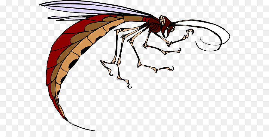 Insecto，Mosquito PNG