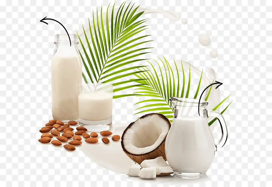 La Leche，Planta De Leche PNG