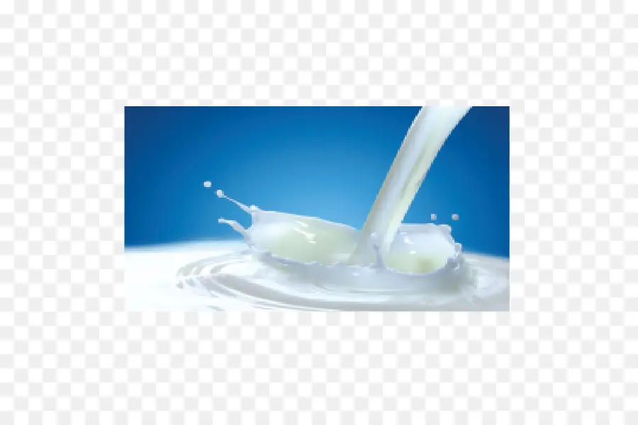 La Leche，Los Productos Lácteos PNG