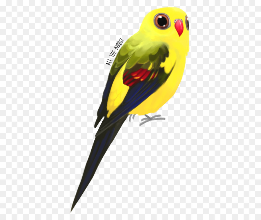 Pájaro Colorido，Loro PNG