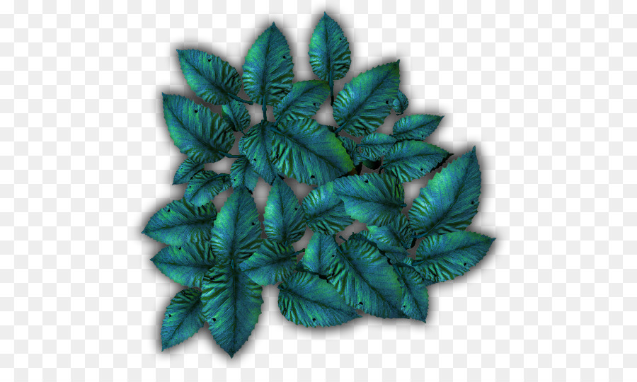 Hoja，Turquesa PNG