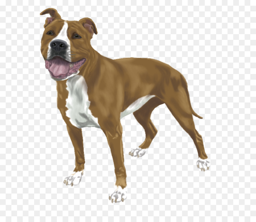 Perro，Mascota PNG