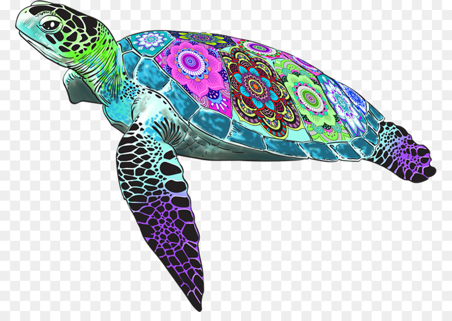 Tortuga Marina，Blob Farley PNG