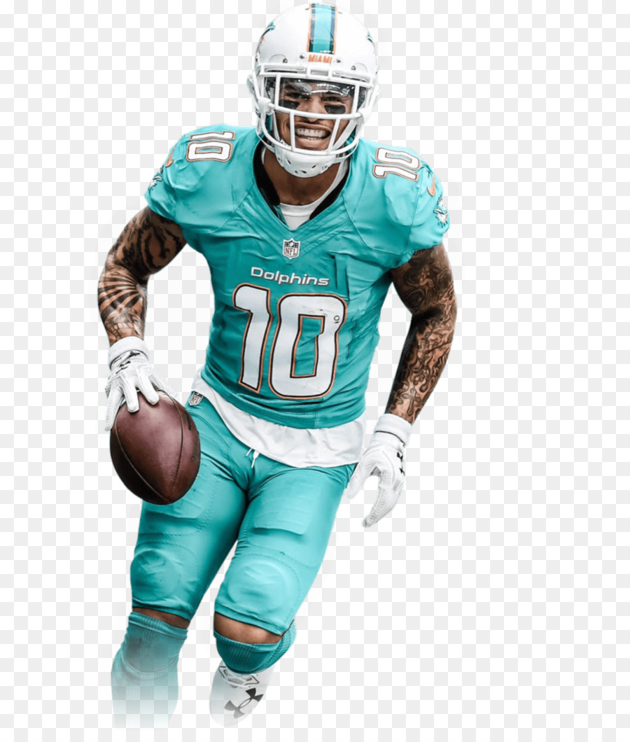 Delfines De Miami，La Nfl PNG