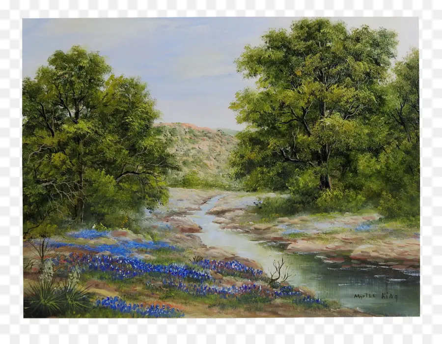 Texas，Pintura PNG