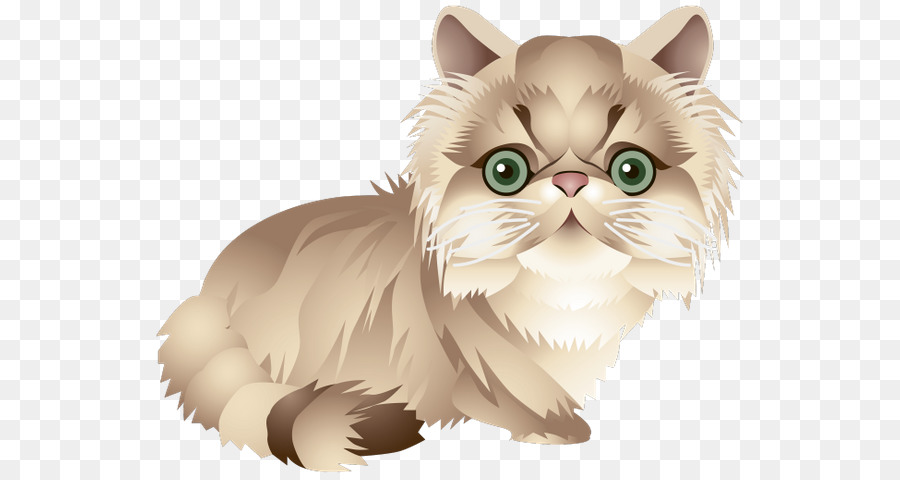 Lindo Gato，Gatito PNG