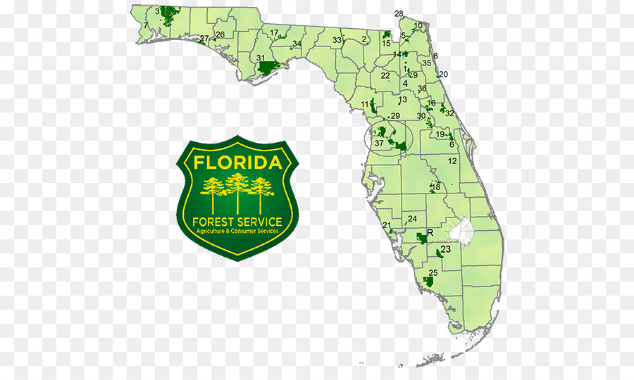 Florida，National Scenic Trail PNG