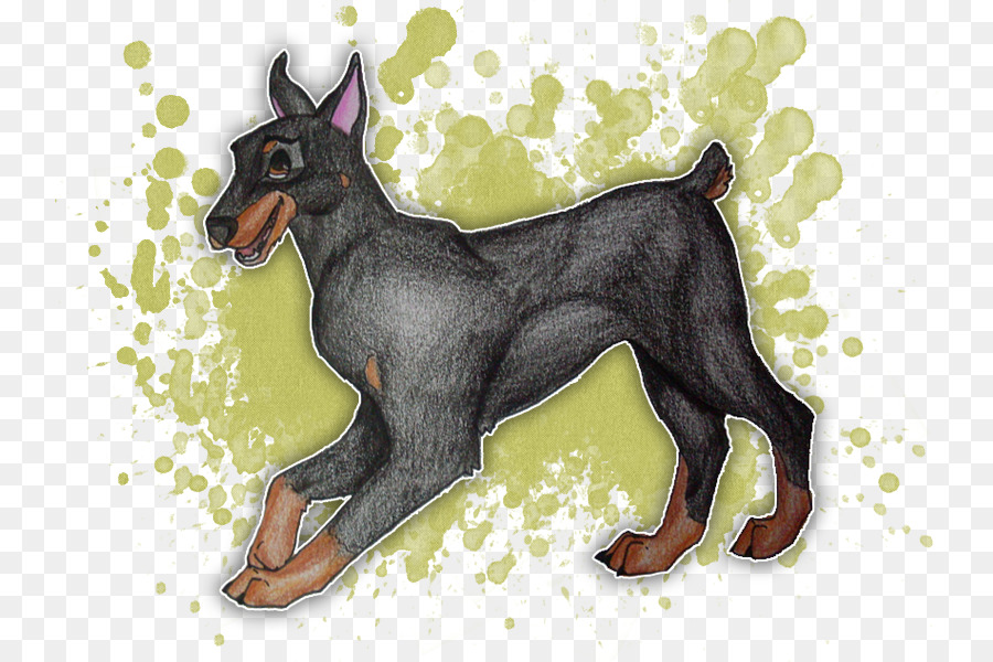 Dobermann，Miniatura PNG