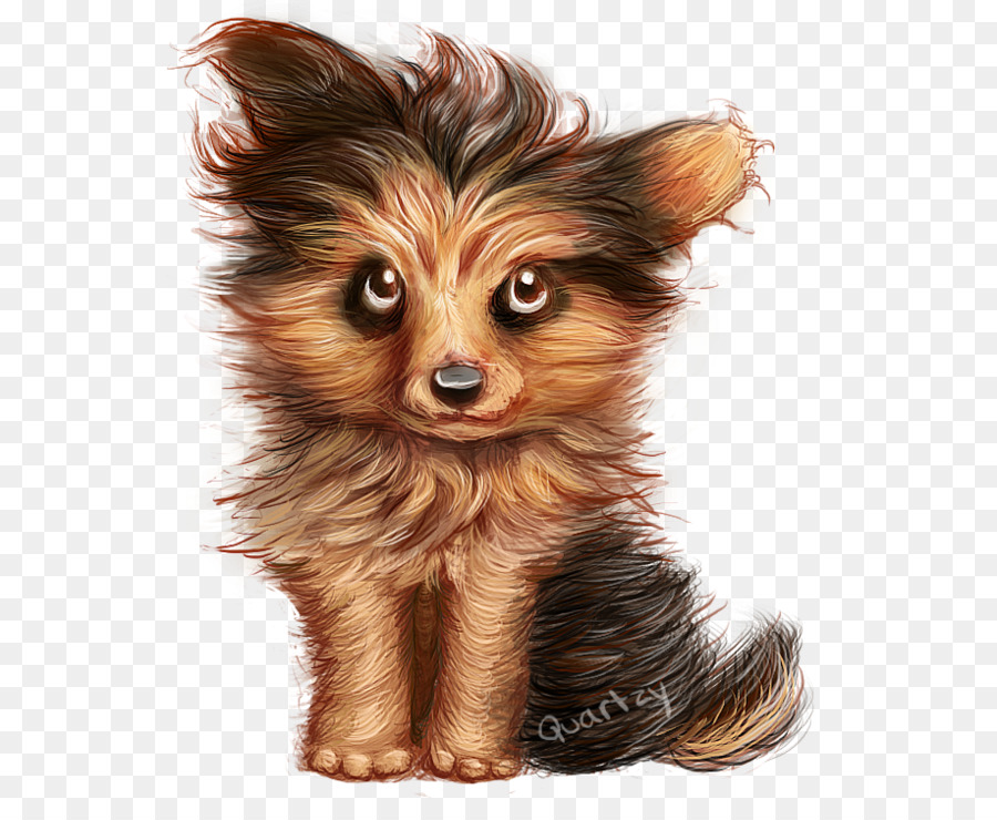 Terrier De Yorkshire，Juguete Russkiy PNG