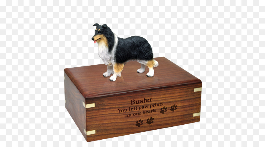 Border Collie，Rough Collie PNG