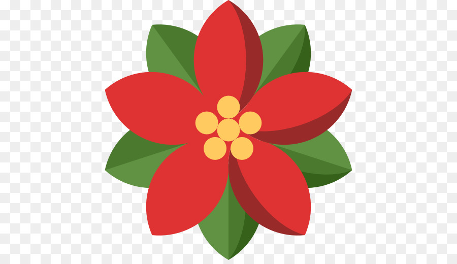 Flor De Nochebuena，Flor De Pascua PNG