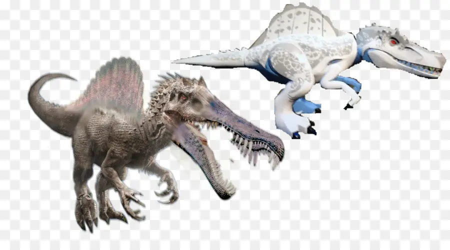 Spinosaurus，Velociraptor PNG