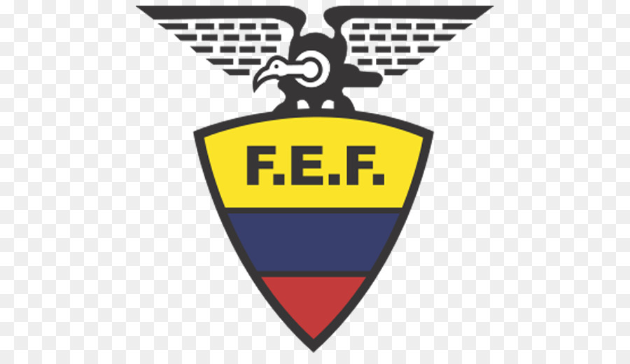 Equipo Nacional De Fútbol De Ecuador，Argentina Equipo Nacional De Fútbol De PNG