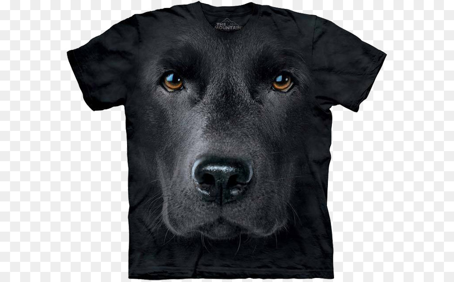 Camiseta，Labrador Retriever PNG