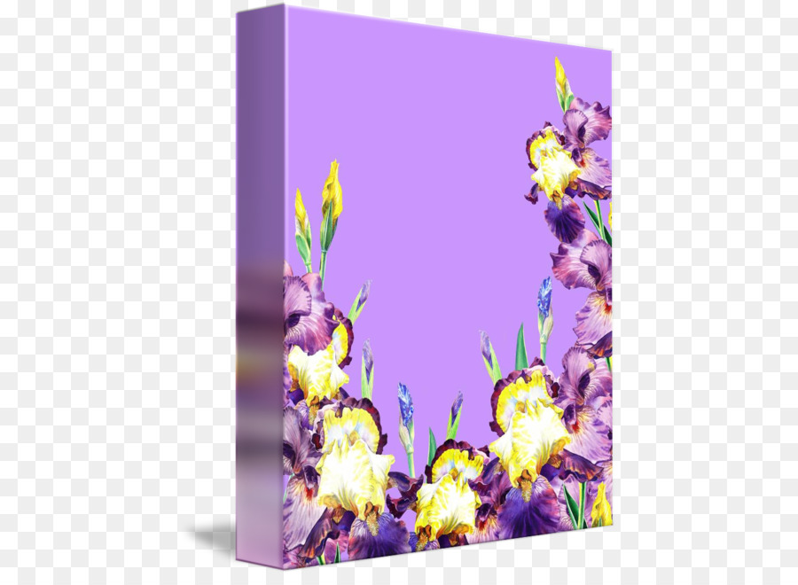 Lavanda，Lienzo PNG