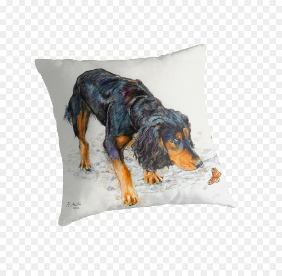 Cocker，Tirar Almohadas PNG