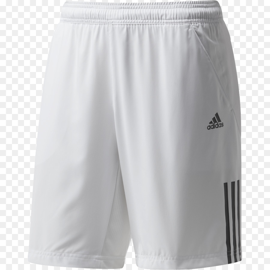 Bermudas，Pantalones Cortos PNG