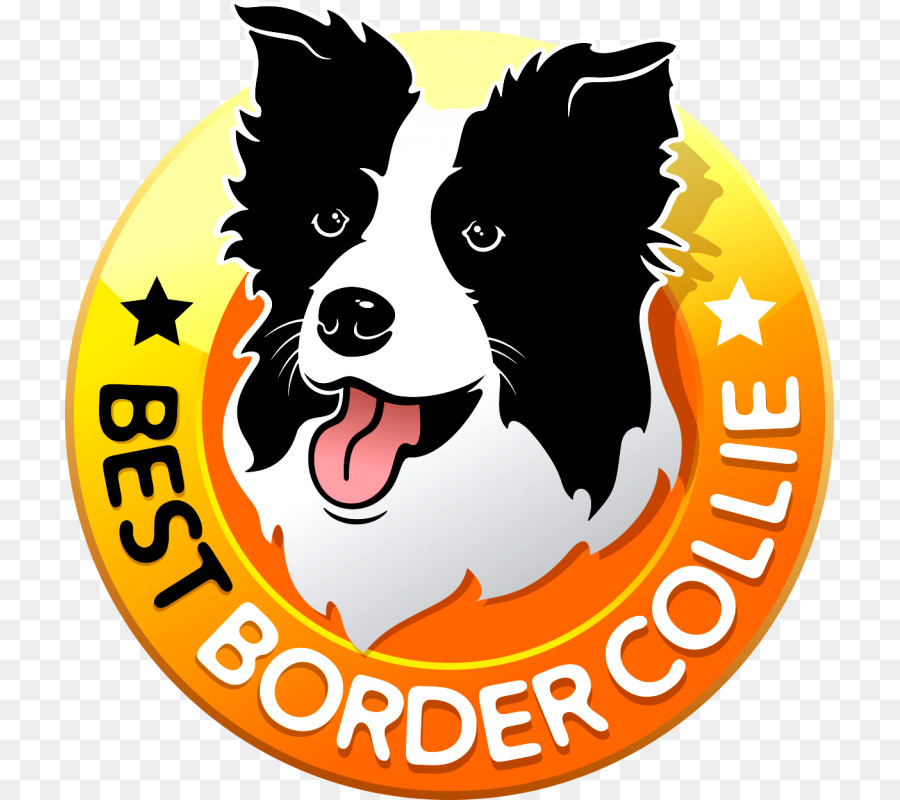 Collie Fronterizo，Perro PNG