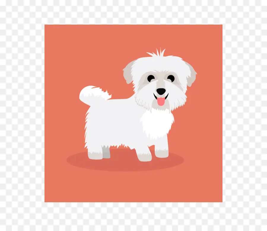 Perro Maltés，Havanese Perro PNG