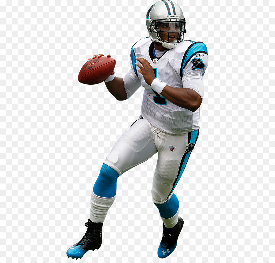 Carolina，Temporada 2015 De La Nfl PNG