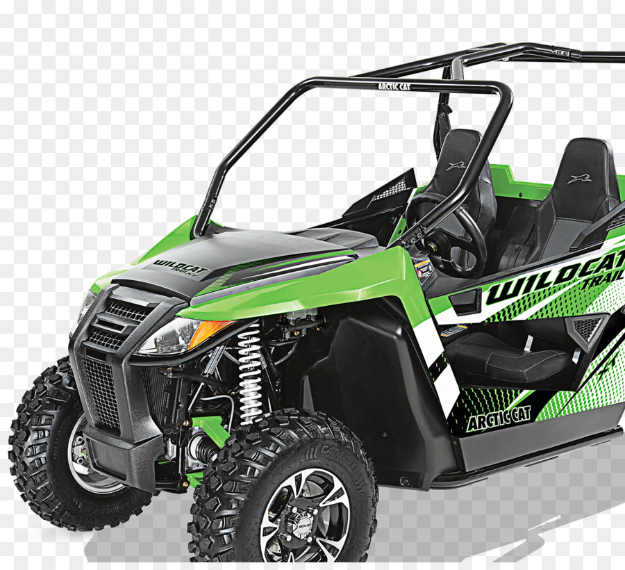 Arctic Cat，Gato Salvaje PNG