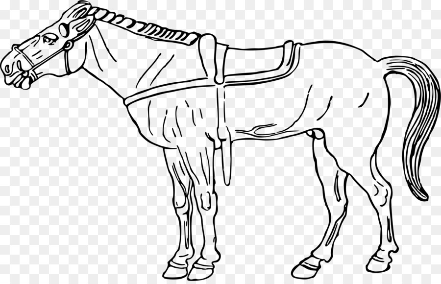 Caballo，Pony PNG