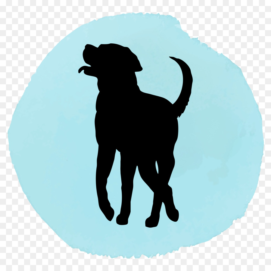 Labrador Retriever，Cachorro PNG