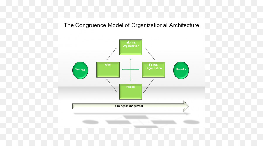 Organización，Gestión De PNG