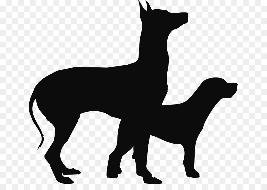 Silueta De Perro Y Gato，Mascota PNG