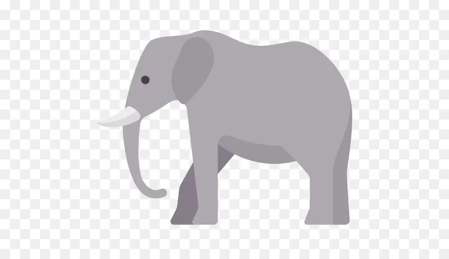 Elefante，Mamífero PNG