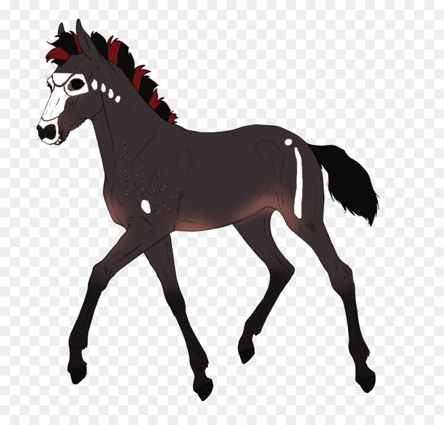 Mustang，Pony PNG