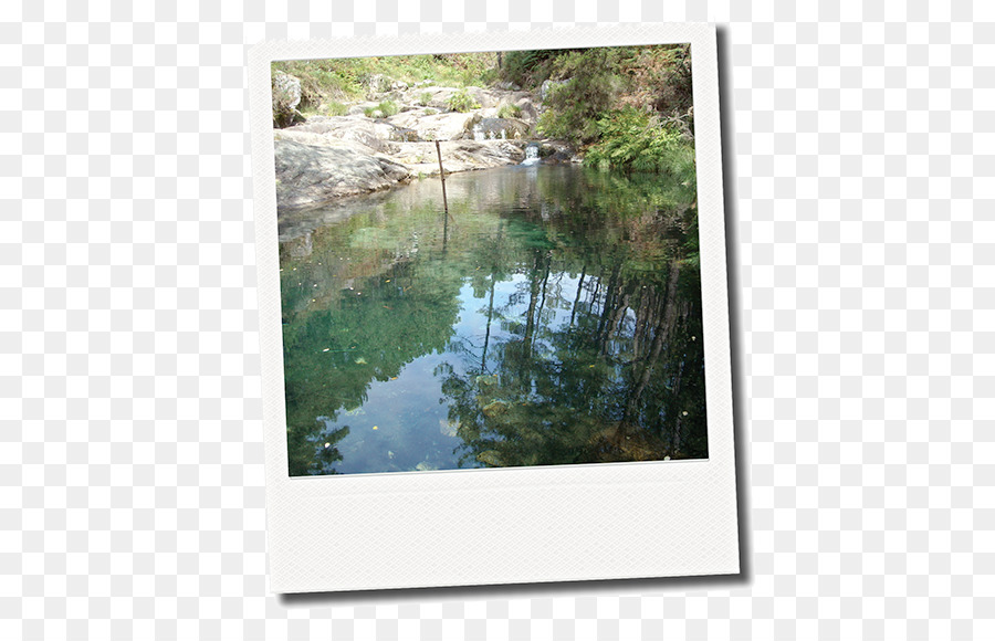 Bayou，Los Recursos De Agua PNG