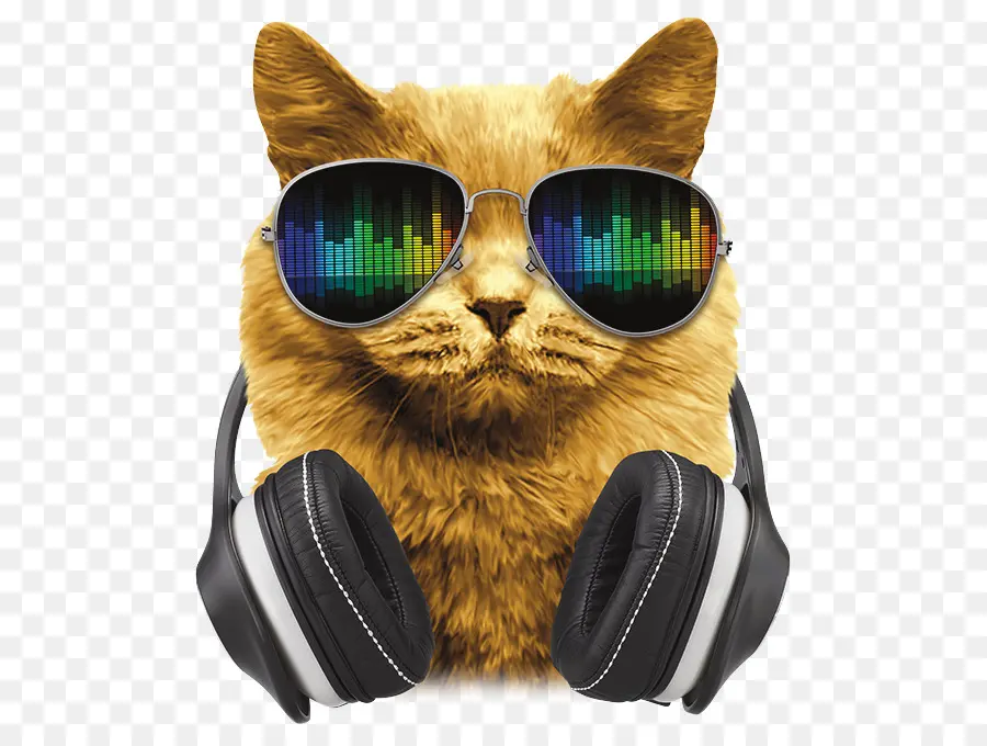 Gato，Auriculares PNG