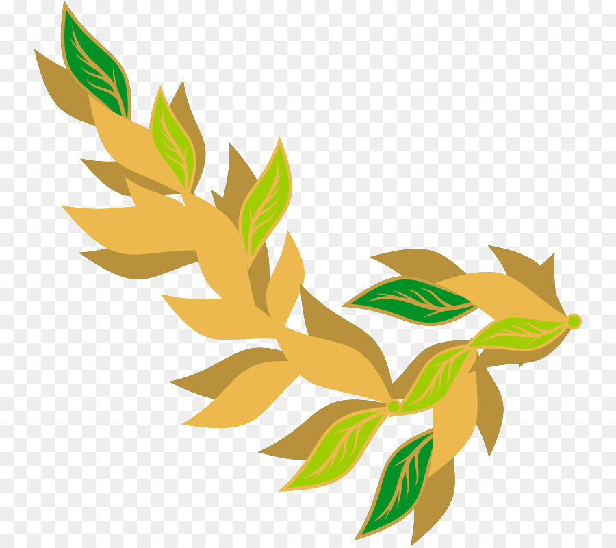 La Hoja De Laurel，Laurel PNG