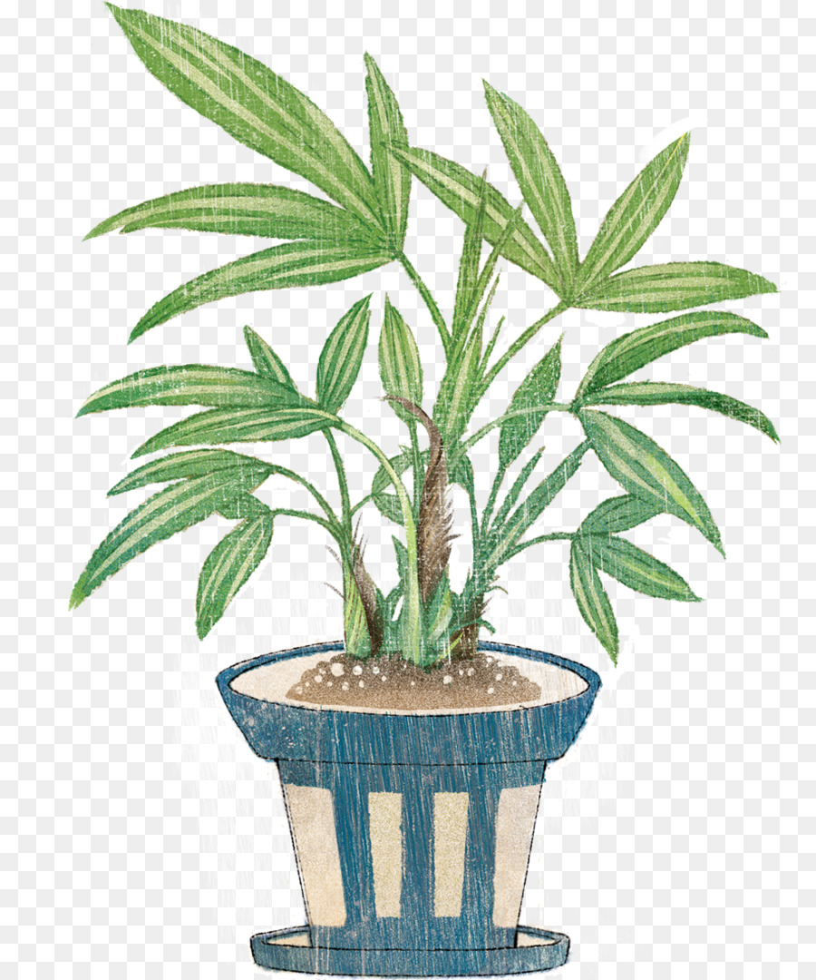 Planta En Maceta，Hojas Verdes PNG