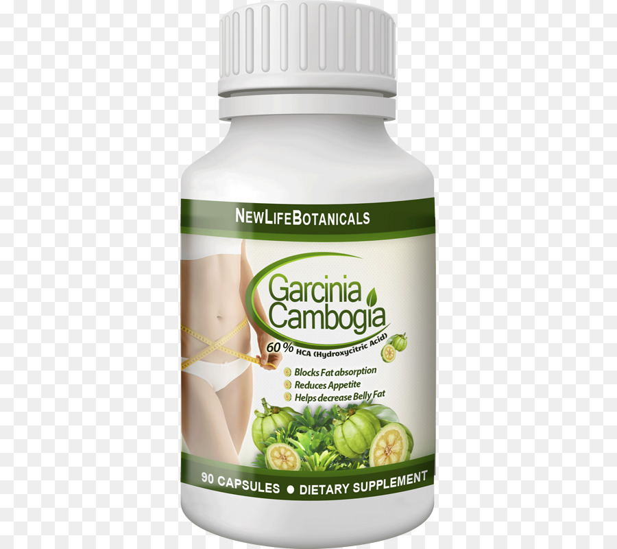 Garcinia Cambogia，ácido Hidroxicítrico PNG