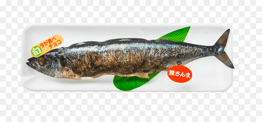 Saury Del Pacífico，Chocolate PNG