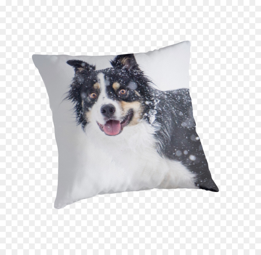 Raza De Perro，Border Collie PNG