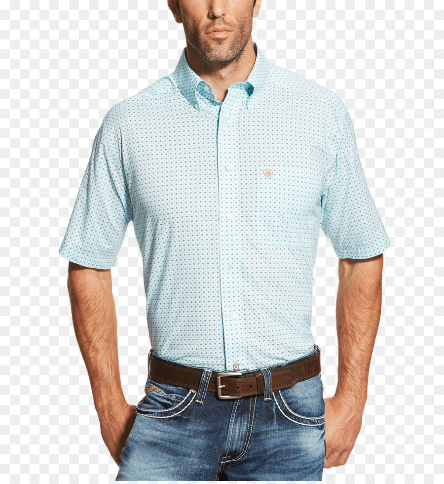 La Camisa De Polo，Camiseta PNG