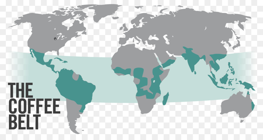 Mapa Del Mundo，Mapa PNG