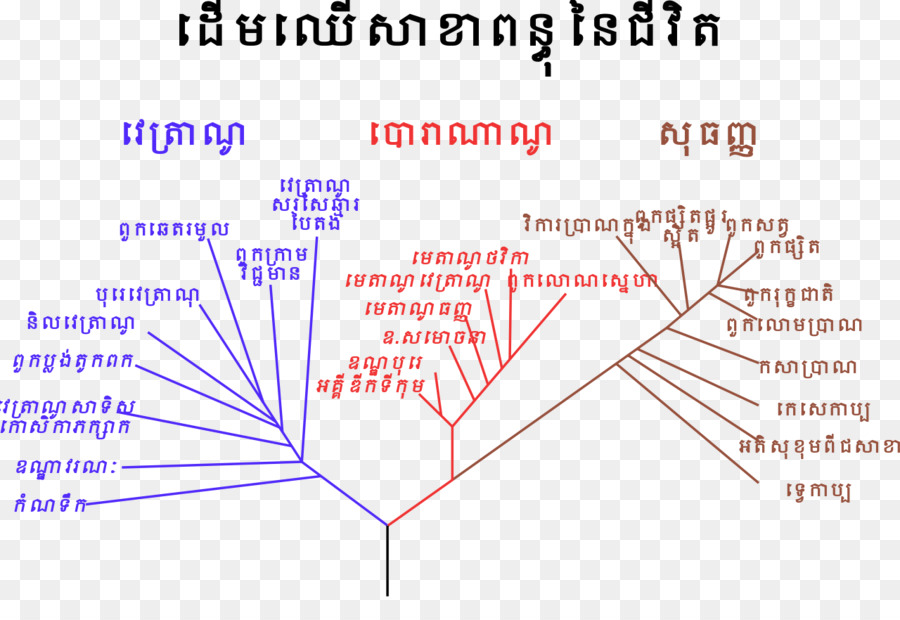 Biología，Ciencias Naturales PNG