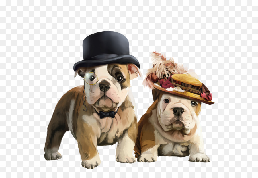 Bulldog，Bulldog Francés PNG