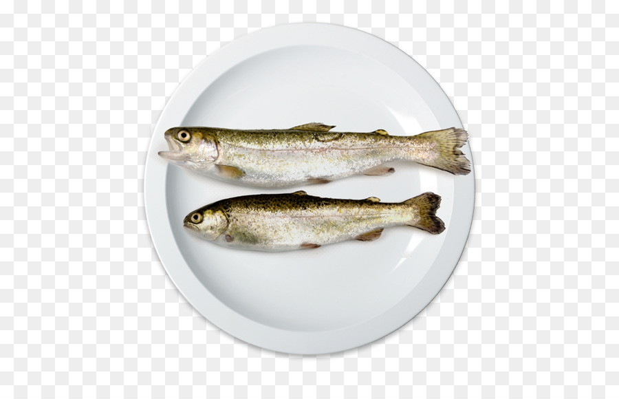 Sardina，El Pescado A La Sal PNG