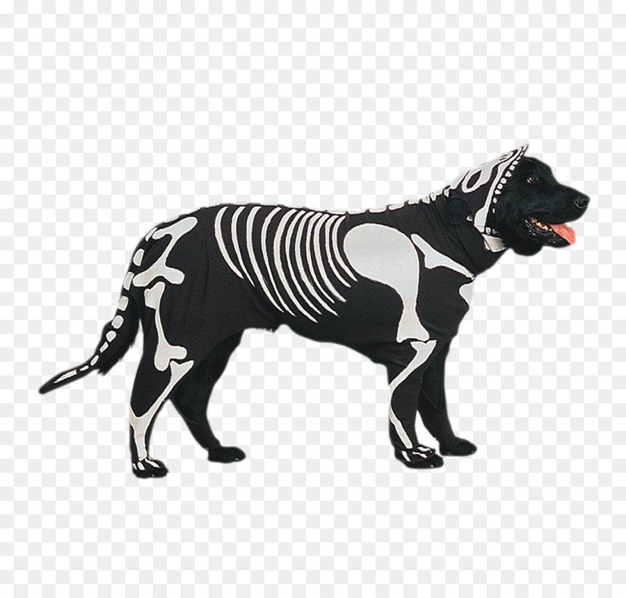 Raza De Perro，Mascota PNG