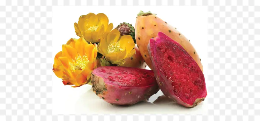 La Pitaya，Barbary Fig PNG