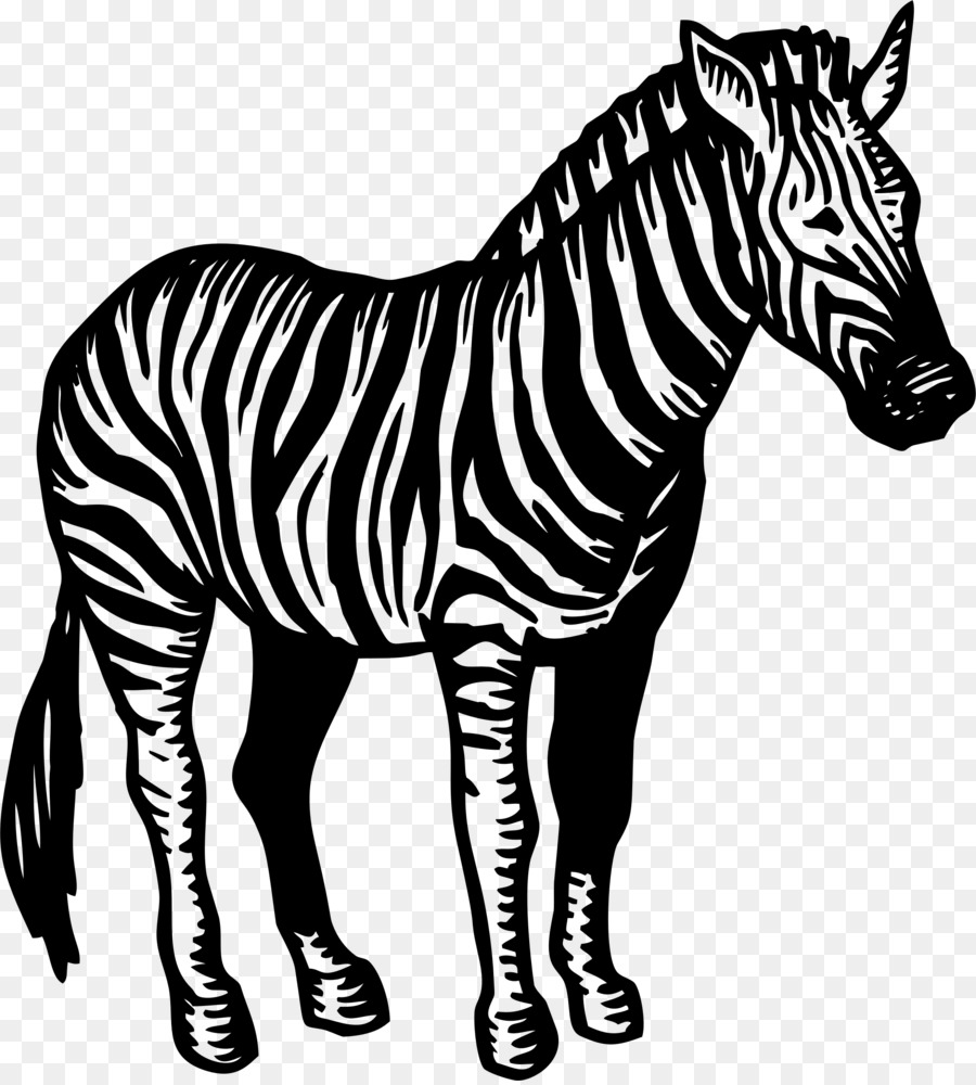 Quagga，Melena PNG