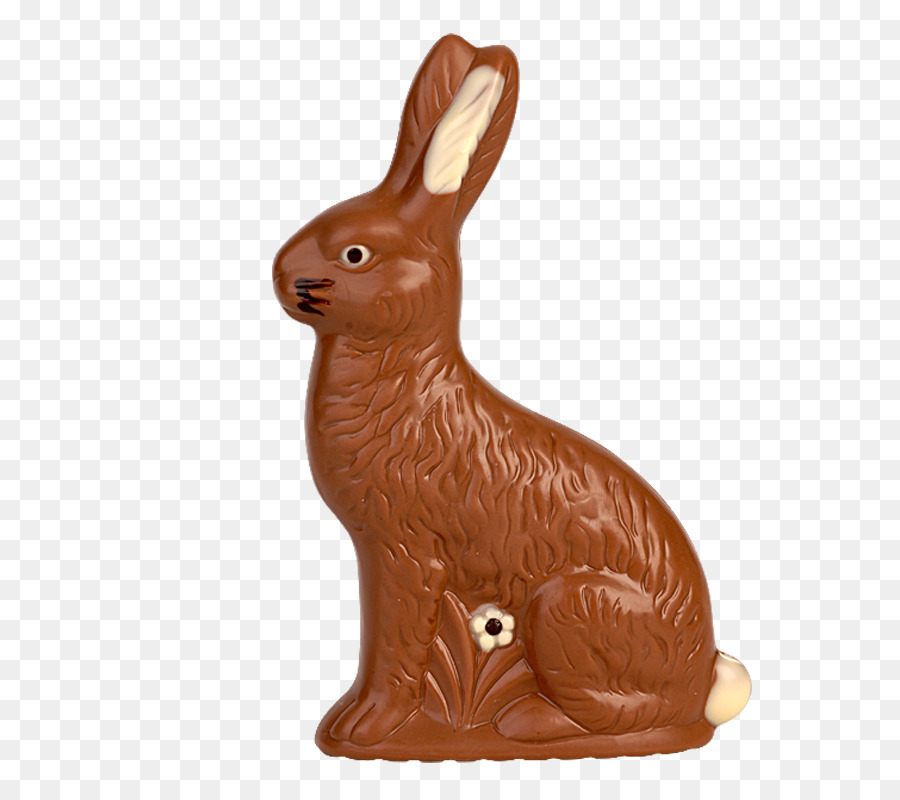 Nacionales De Conejo，Conejito De Pascua PNG