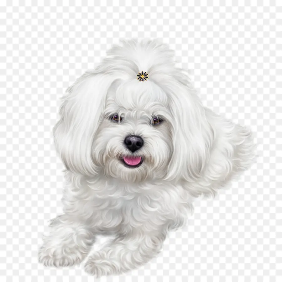 Perro，Símbolo PNG